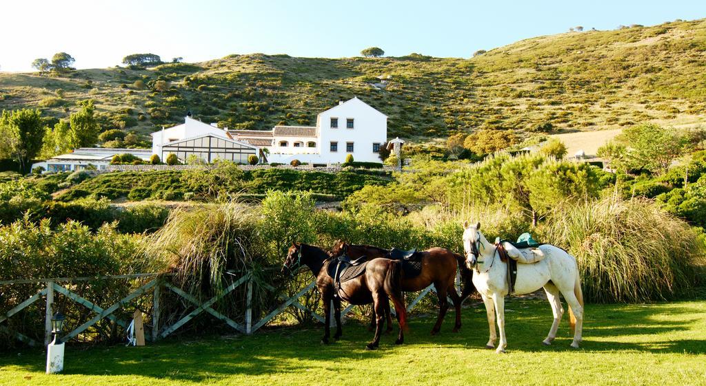 Hotel Fuente Del Sol Antequera Ngoại thất bức ảnh